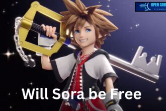 Will Sora be free