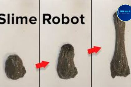 Slime Robots